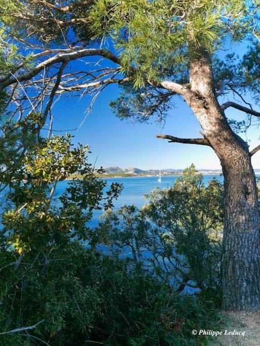 T2: 45M2 :4 Places :Independant Dans Villa Hyères Esterno foto