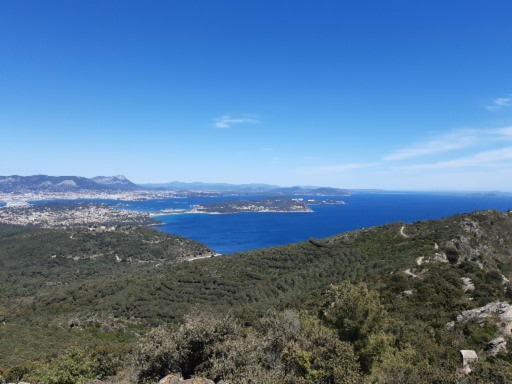 T2: 45M2 :4 Places :Independant Dans Villa Hyères Esterno foto